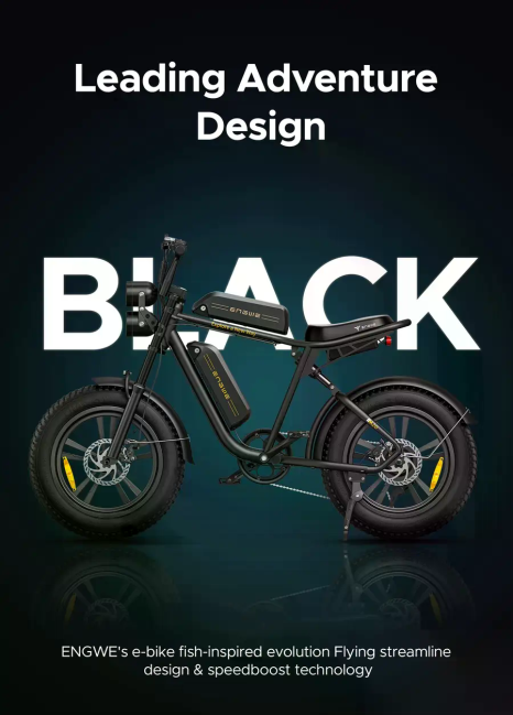 ENGWE M20