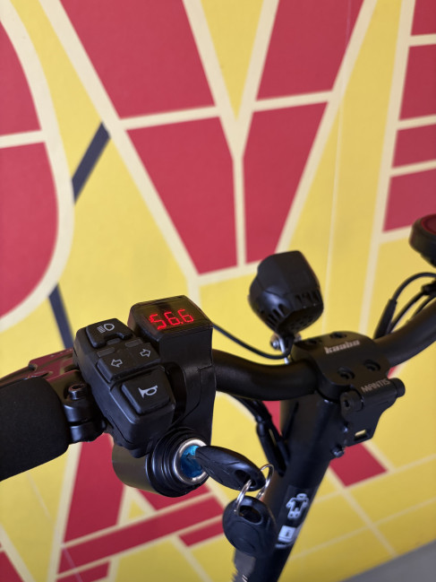 Kaabo Mantis 10 Plus - ridden for 0 km