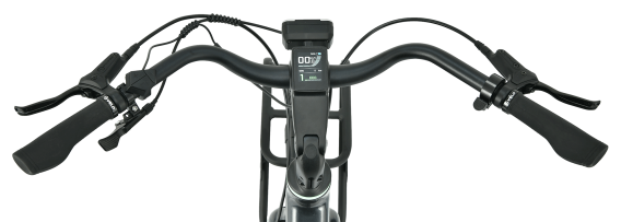 MS ENERGY Zorya Plus NEW 2026